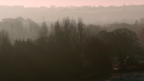 aerial drone shot with long lens of winter trees on misty morning at sunrise 7x lens