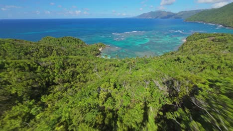 Drone-FPV-flying-over-lush-forest-and-descending-towards-Playa-Ermitano-beach,-Samana-in-Dominican-Republic