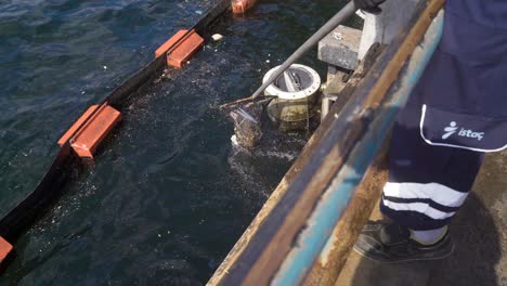 contaminación del mar. limpia los residuos arrojados al mar con una cuchara de pescado.