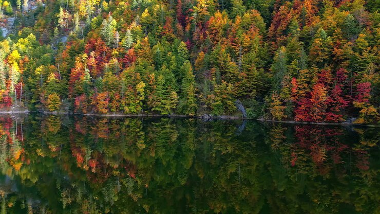 Couleurs d'un paysage forestier d'automne près d'un lac