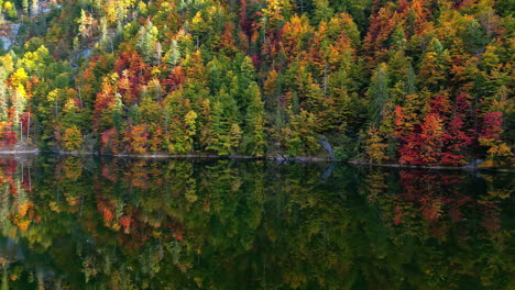 colors of autumn forest landscape near lake