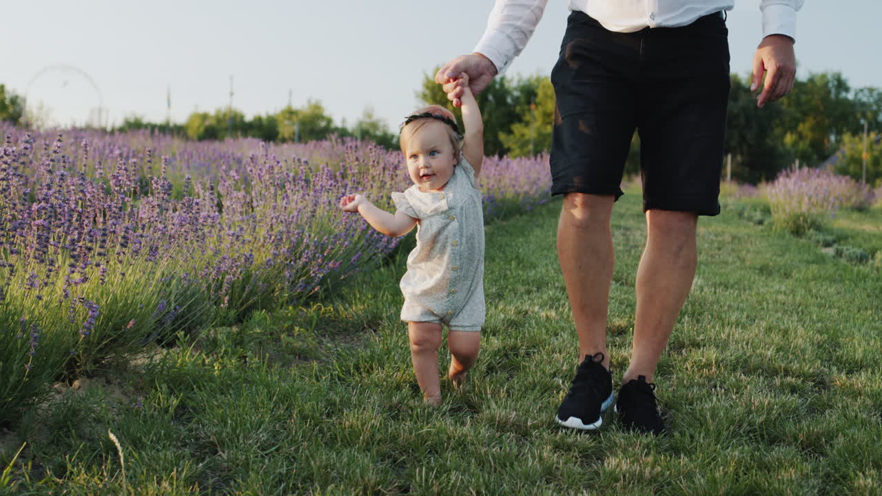 un padre lleva a su hija de la mano mientras da sus primeros pasos. caminando por el campo de lavanda