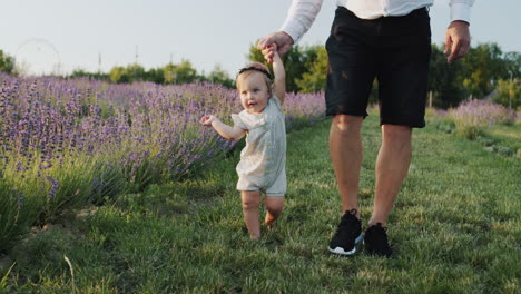 A-father-leads-his-daughter-by-the-hand-as-she-takes-her-first-steps.-Walking-through-the-lavender-field