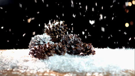 la nieve en el maíz de pino