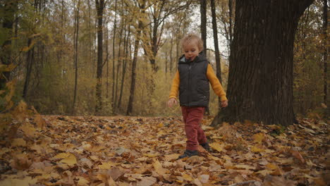 Fin-De-Semana-En-El-Bosque-En-El-Día-De-Otoño-El-Niño-Camina-Sobre-Hojas-Secas-En-El-Suelo-Disfrutando-Y-Explorando-La-Naturaleza-Niño-Curioso-En-El-Bosque