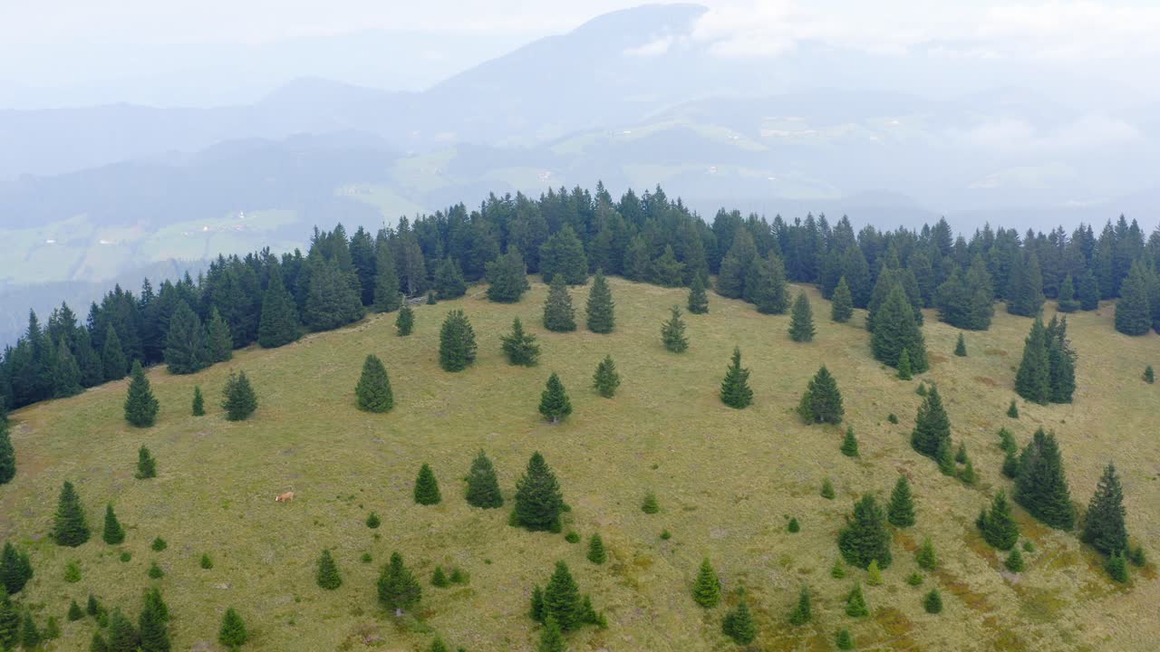toma aérea escénica de pico con abeto en montaña volcánica