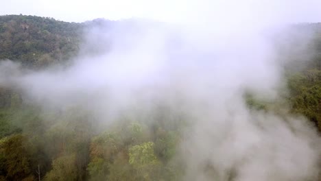 smog of forest fires. deforestation and climate crisis. toxic haze from rainforest fires. aerial video 4k