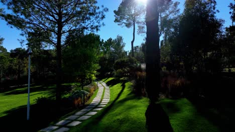 Vista-Aérea-De-Un-Hermoso-Jardín-Con-Camino-De-Piedra-Y-Sol