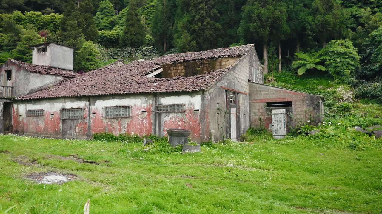 초록색 울창한 식물로 둘러싸인 오래된 버려진 집의 넓은 정적