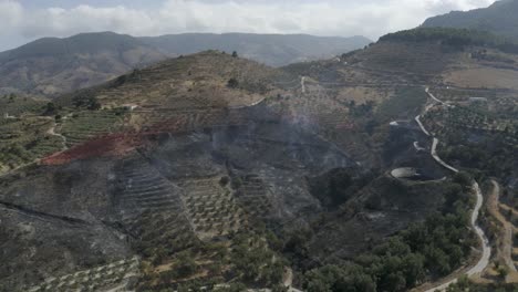 Ardientes-Aéreos,-Restos-Humeantes-De-Incendio-Forestal-Entre-Olivares-En-España,-Granada