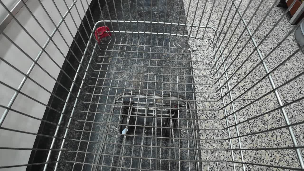 POV 시점으로 슈퍼마켓에서 쇼핑 카트에 생닭을 넣는 장면을 촬영하여 일상적인 식료품 쇼핑, 식품 구매, 현대 소비자의 라이프스타일을 담아냅니다.
