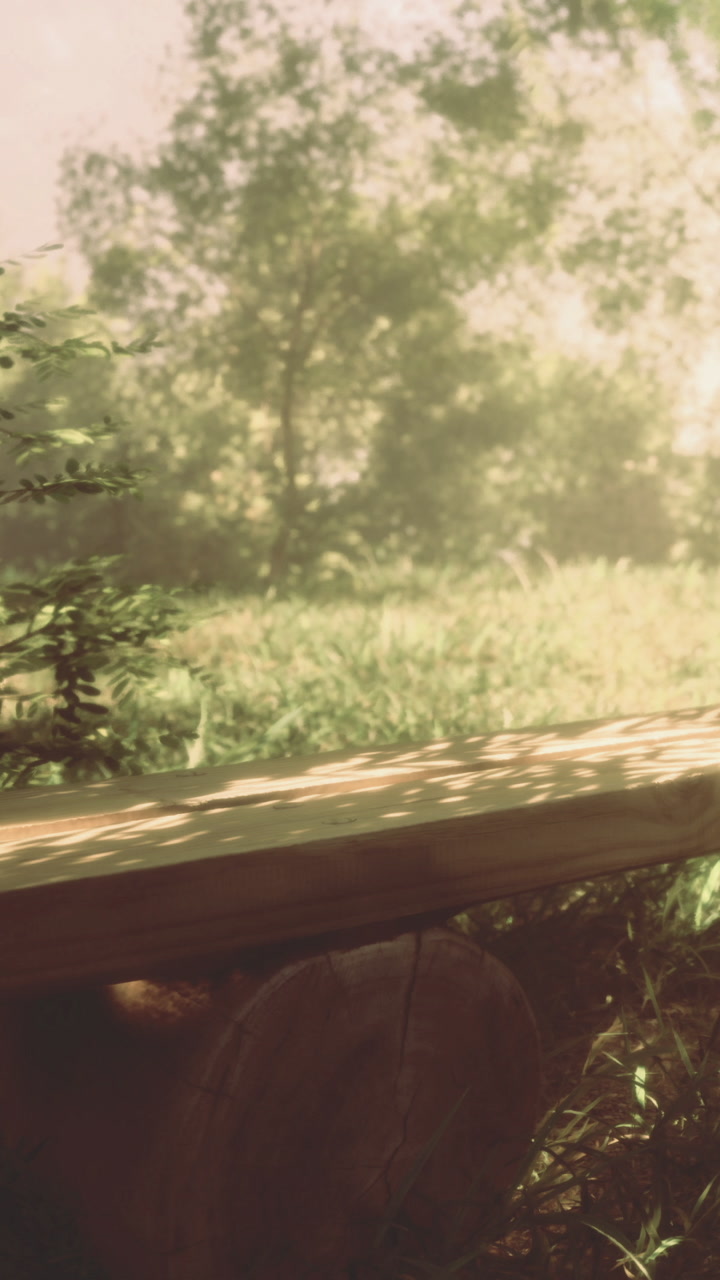 Morning light shines on a wooden bench in a quiet green area
