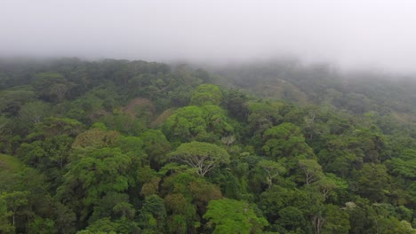 deslizándose por encima de las copas de los árboles con un avión no tripulado en un bosque nublado colombiano