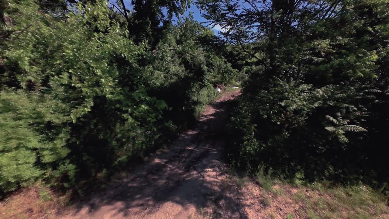 An aerial FPV style flight through trees over a dirt path on Long Island, NY. Shot on a sunny day. The camera dolly in and boom down panning left and right within the trees and bushes
