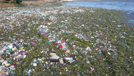 Residuos-Flotantes-Y-Vegetación-En-La-Costa-Del-Mar---Concepto-De-Contaminación-Global