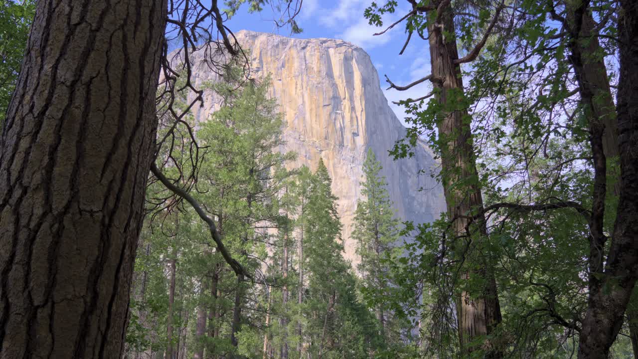 Iconic granite monolith of El Capitan as seen through a natural frame of tall trees in Yosemite National Park, California
