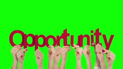 hands holding up opportunity