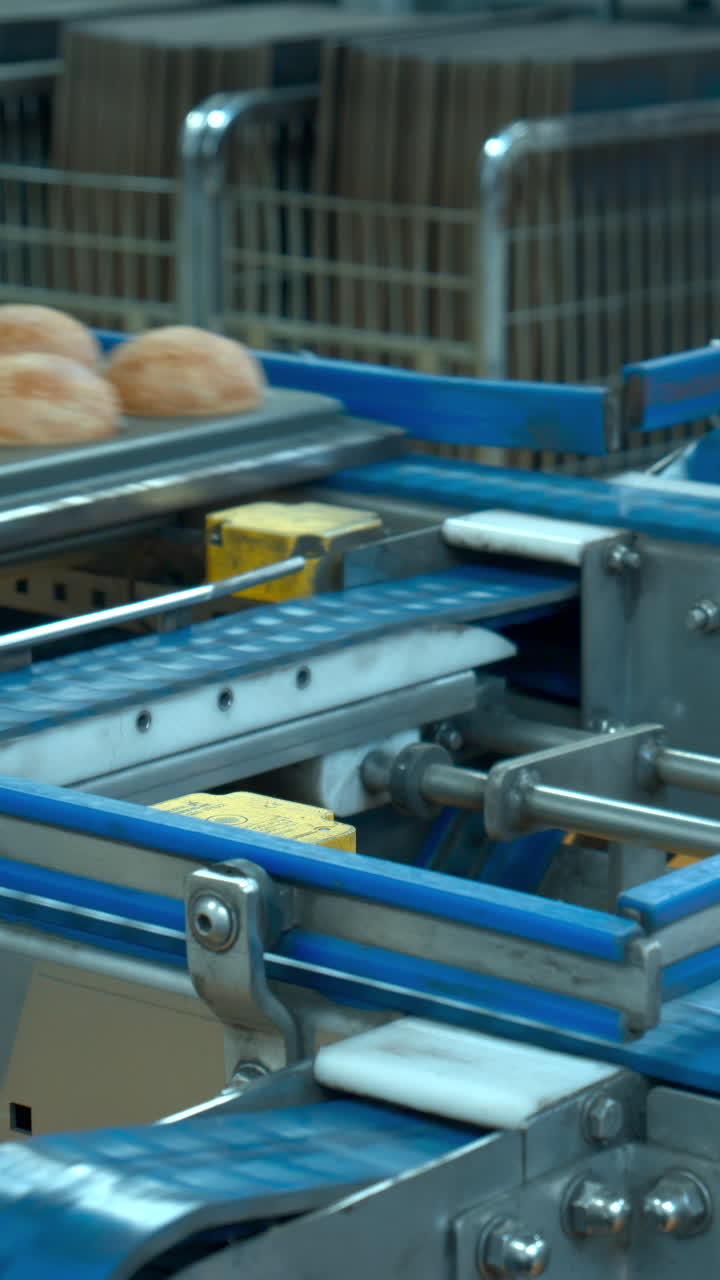 Freshly Baked Burger Buns Moving on a Factory Conveyor Belt