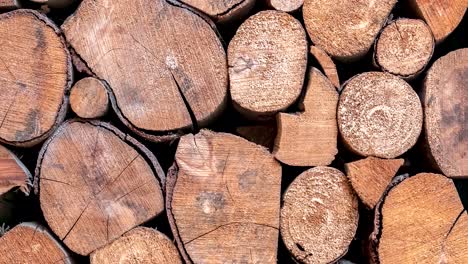 cinematic tilt on pile of wooden logs