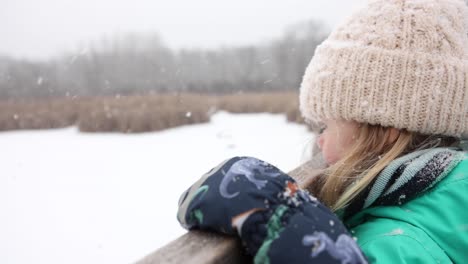 little girl looking over nature boardwalk wood railing super slomo snow falling