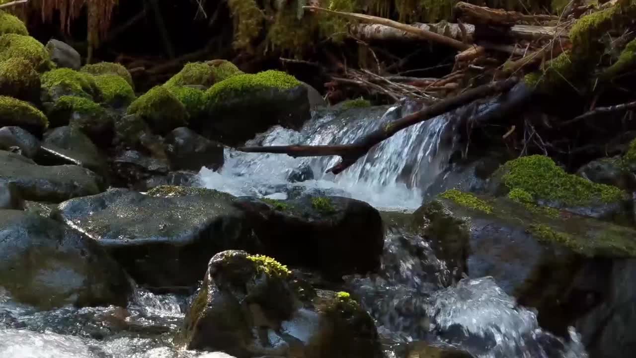 cascada de agua sobre rocas cubiertas de musgo en un arroyo de montaña en un cálido día de primavera
