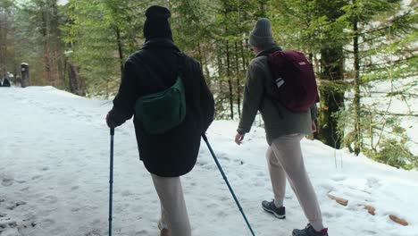 elderly couple hiking in snowy forest