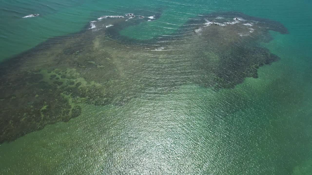 브라질 알라고아스 주 상미구엘 도스 미라그레스 해변