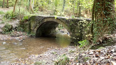 flowing autumn woodland forest stream creek under arch bridge wilderness foliage