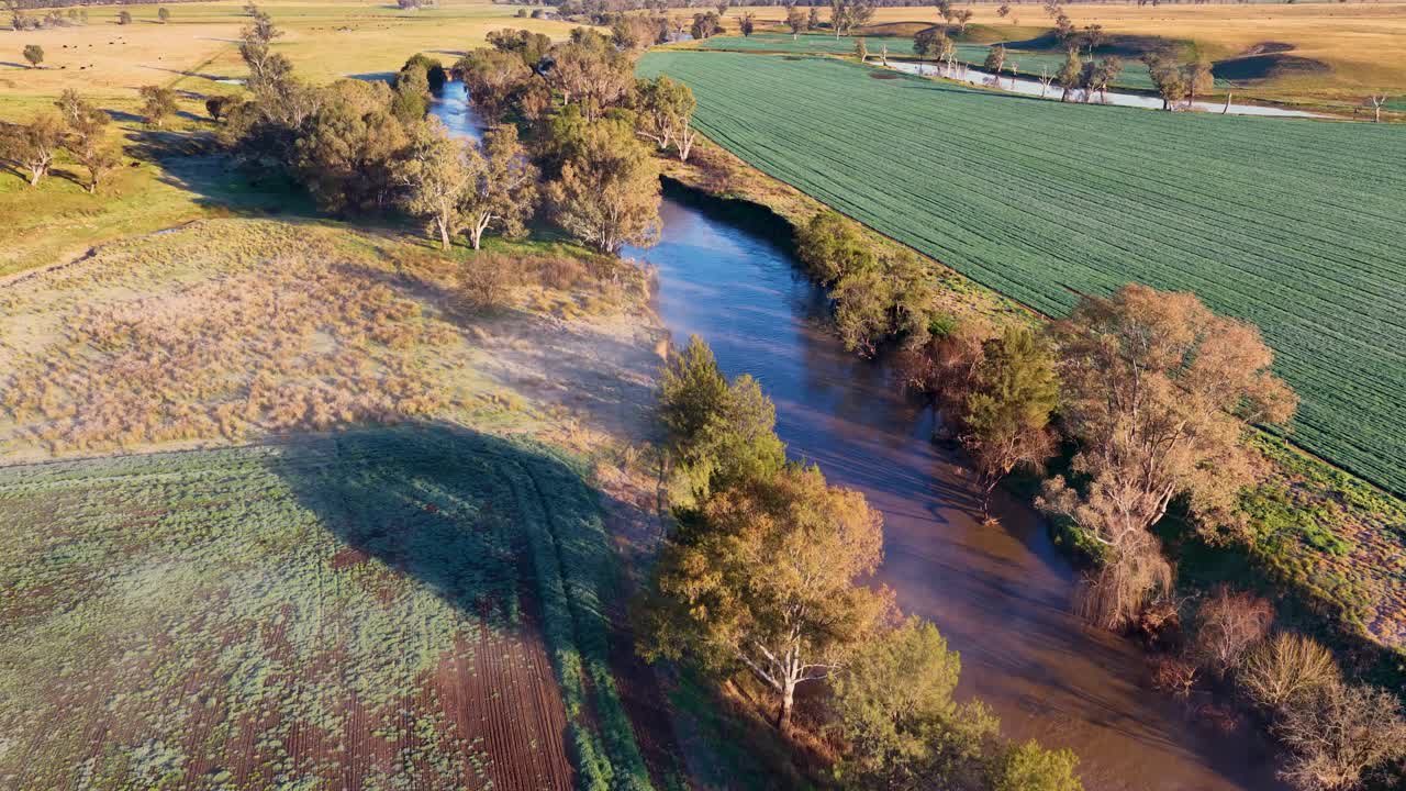 Drone footage glides above a winding river bordered by green fields and scattered trees in rural Coonabarabran, Australia, under warm early morning sunlight