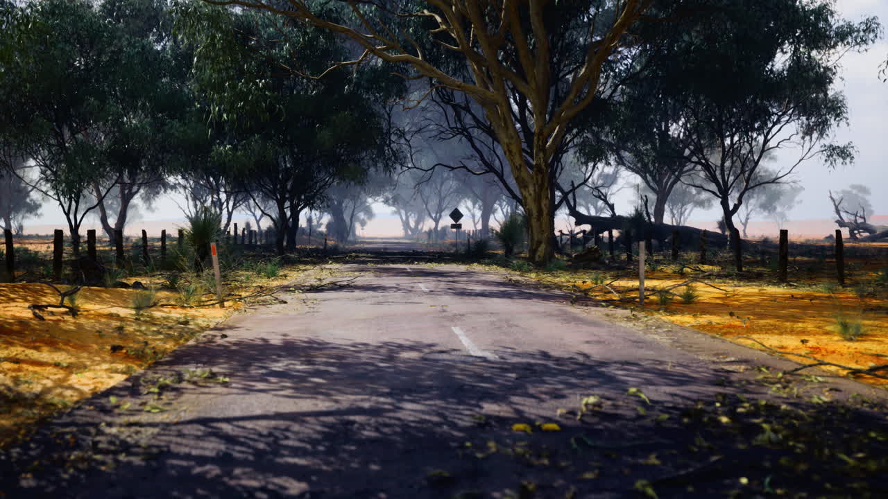 Quiet roadway surrounded by trees in a tranquil rural area during daytime