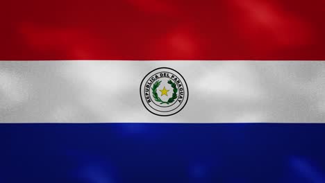paraguayan dense flag fabric wavers, background loop