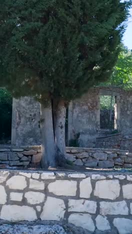 ruined stone building with olive trees