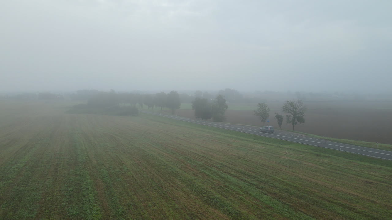 폴란드 루바와의 시골길에서 안개 속을 달리는 차량들