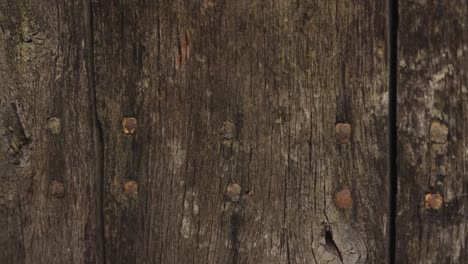 close-up of the old wooden gate structure