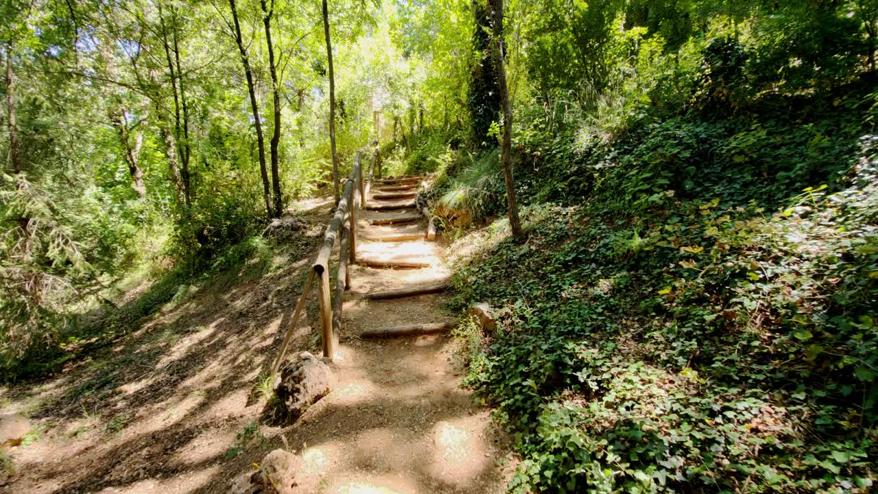 First person view of a walk through the forest. Walking along a path through the forest trees and a staircase made of wooden logs. Cazrola. Spain