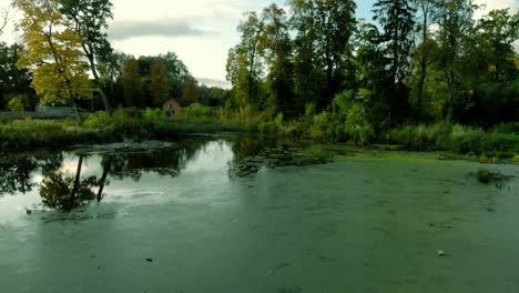 aerial footage on a small pond in the middle of the village, trees around the pond and high grass on the edge of the water reservoir, old house in the background