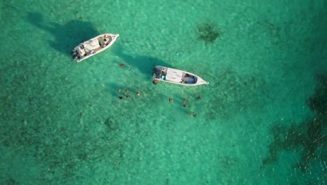 aerial zenith view people snorkel looking starfish underwater caribbean sea, los roques