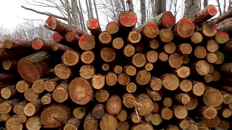 wooden logs piled in massive stack, result of commercial tree logging