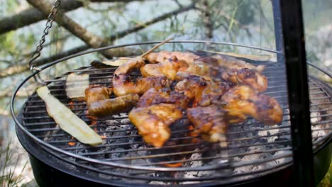 Grilling-chicken-and-courgettes-on-net-rotating-over-charcoal