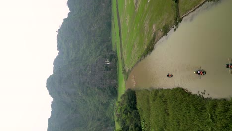 vertical - travellers on boats paddling on river through rice fields and karst mountains in tam coc, vietnam. tracking drone shot