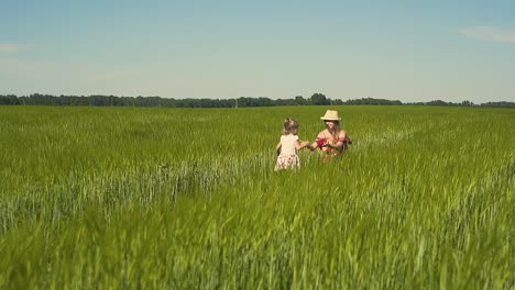 młoda matka w wolnym ruchu bawi się z dzieckiem na polu, ubrana w czerwoną sukienkę. córka idzie do niej na zielonej trawie.