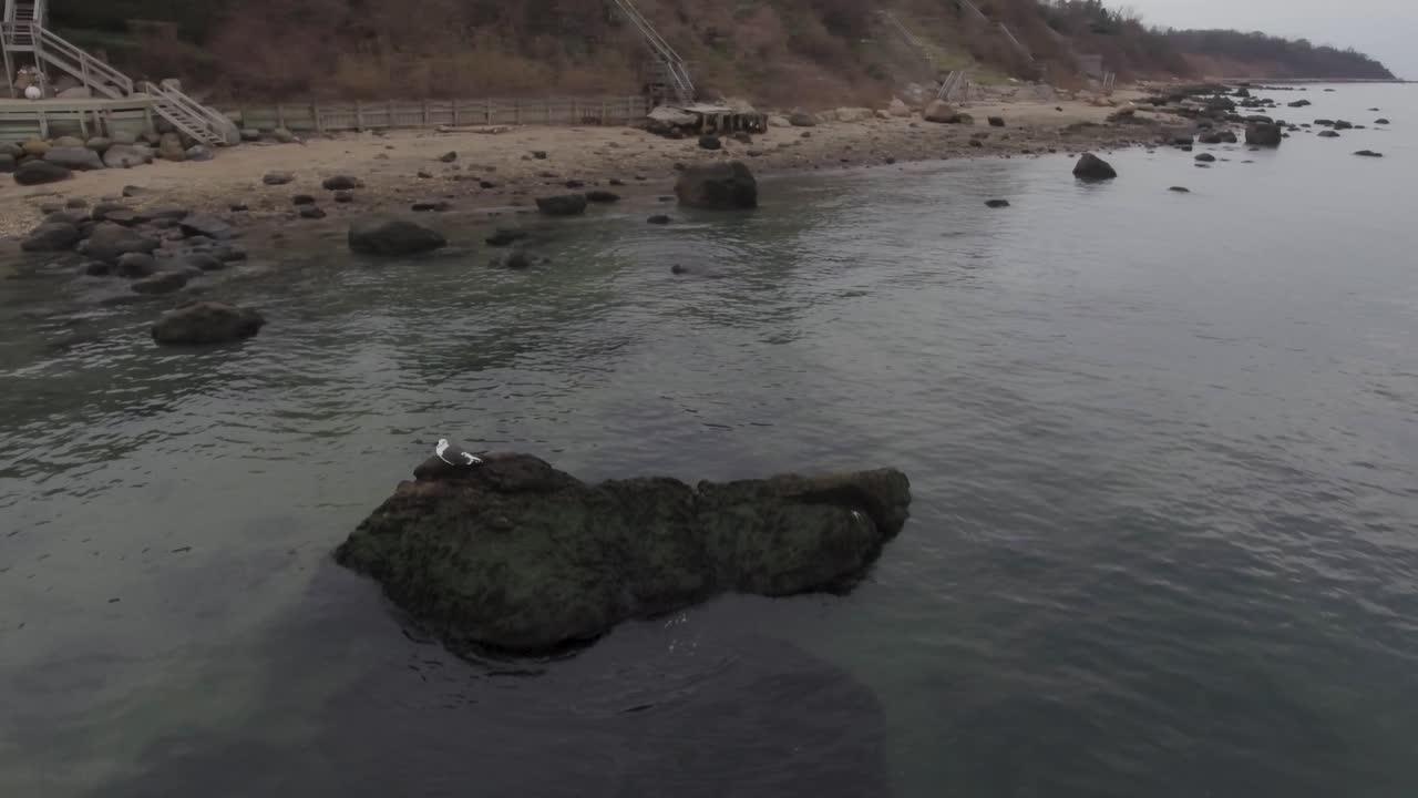 해가 지는 바위 위의 노스 포크 롱 아일랜드 사우스홀드 해파리