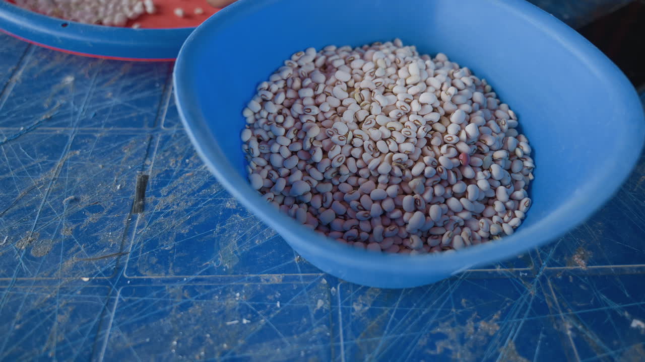 Blue bowl filled with beans on scratched tabletop, house chore of bulk collection and storage, plastic container holding white pulses, ambient daylight, utilitarian kitchen setting ready for cooking