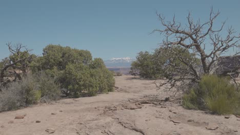 alejarse de las montañas distantes entre los arbustos del desierto