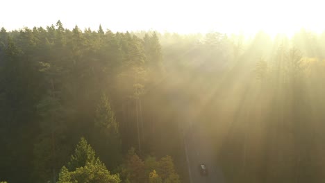 Drone-aerial-view-of-forest-in-early-morning