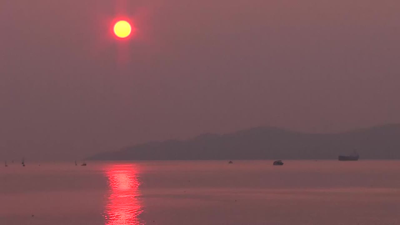 Smoke in sky with red sun. Forest fire smoke