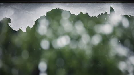 nieve colgando de un techo mientras está nevando en el fondo con árboles fuera de foco