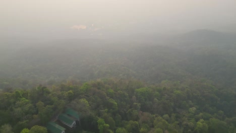 Dichter-Thailändischer-Dschungel,-Eingetaucht-In-Düsteren-Morgennebel