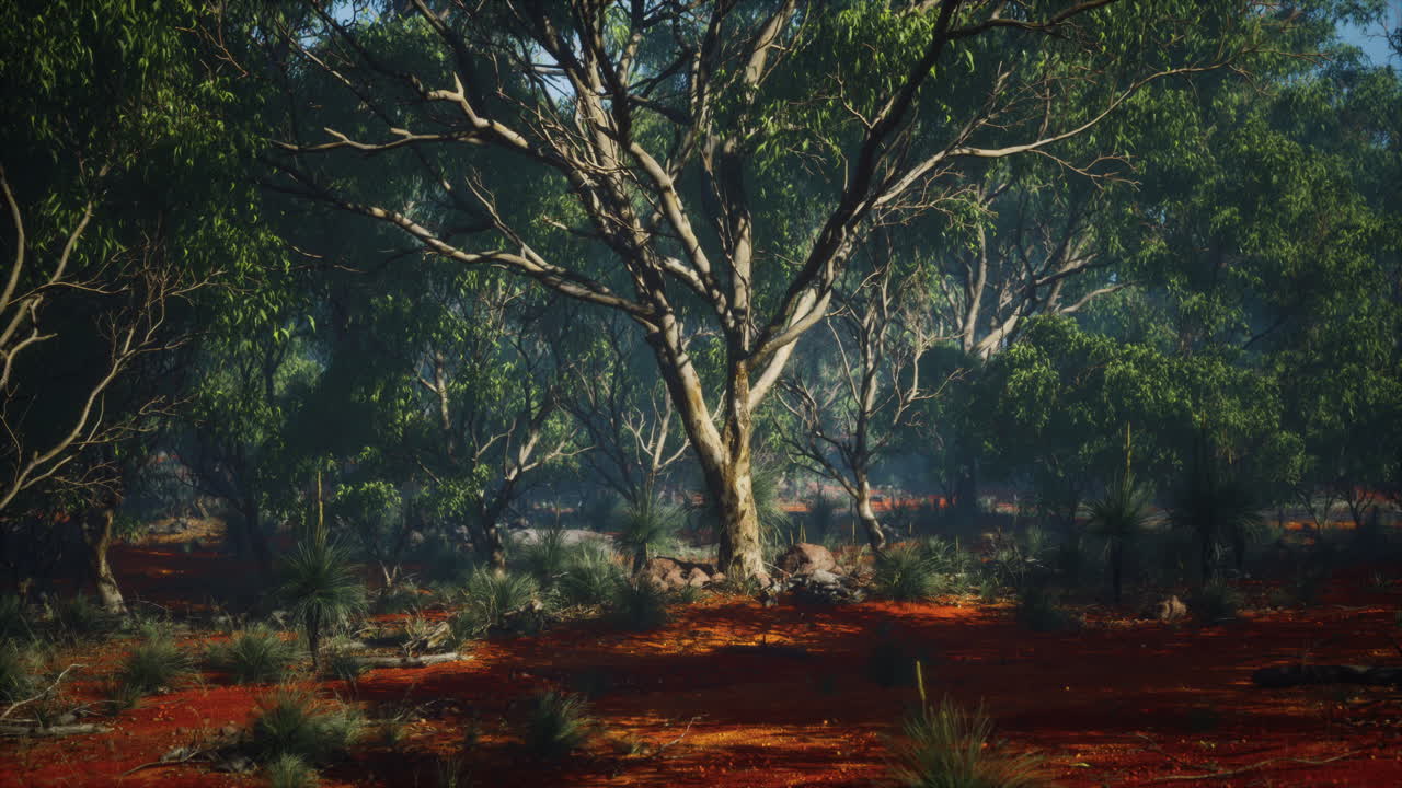 나무 와 관목 이 있는 해안 식물