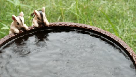 rain in a puddle.